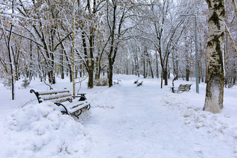 小巷城市公园覆盖与雪美丽的视图的白雪覆盖的小巷的城市公园与木长椅小巷城市公园覆盖与雪