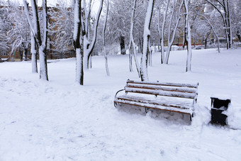 美丽的视图的木板凳上的小巷的城市<strong>公园</strong>覆盖与雪的左一边的复制空间为<strong>广告</strong>木板凳上的小巷的城市<strong>公园</strong>覆盖与雪