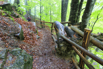 山狭窄的路径与老木栏杆潮湿的有雾的森林去下来狭窄的和湿陡峭的山路径的森林与厚雾和与老栏杆