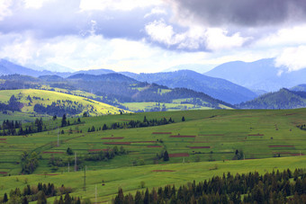 的美丽的和雄伟的山景观的喀尔巴阡山脉的山棕色（的）条纹培养土地的山坡上绿色长满草的山高松树笼罩雾的美丽的和雄伟的山景观的喀尔巴阡山脉的山
