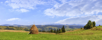干草堆草地山坡上美丽的山景观明亮的阳光明媚的一天全景视图喀尔巴阡山乌克兰干草堆站草地对的背景的喀尔巴阡山脉的山和山坡上