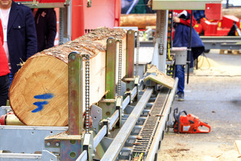木工木材大松日志固定的立交桥现代自动锯木厂木工大日志现代锯木厂
