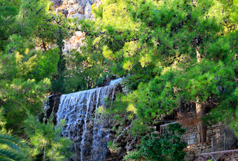 大瀑布从源氡水流下来大巨石的脚的山的阴影绿色地中海松树和棕榈树洛特拉基公园希腊大瀑布与氡水在巨石和灌木丛云杉的脚山洛特拉基希腊