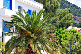 美丽的日期棕榈树成长<strong>之</strong>间的路灯希腊街与白色外墙房子和<strong>传统</strong>的蓝色的窗户和门他们美丽的景观城市街与日益增长的日期棕榈树附近<strong>传统</strong>的白色希腊房子与蓝色的木窗户和门