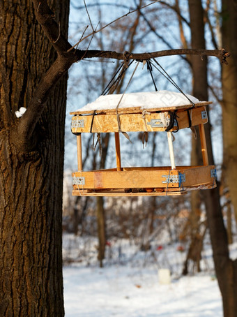 鸟给料机使从剩下的建筑材料挂起树分支冬天森林对模糊背景布什和阳光鸟给料机挂树分支的冬天森林对的背景阳光