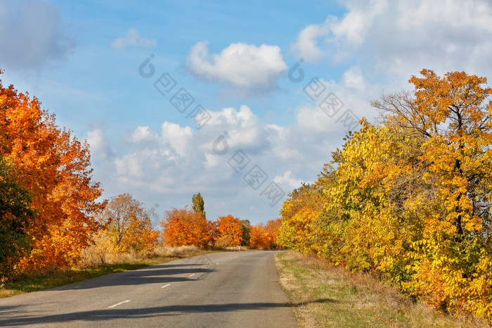 的美秋天沥青路的秋天小巷金秋天枫木叶子覆盖的路边焦点前景秋天的橙色和黄色的树叶路边树侧面的老停机坪上路