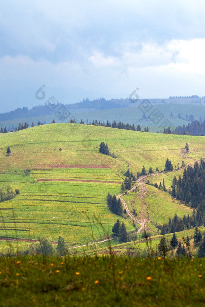 绿色山基斯软阳光春天景观的喀尔巴阡山脉的山垂直图像复制空间春天景观喀尔巴阡山脉的绿色山与污垢路的谷照亮软阳光