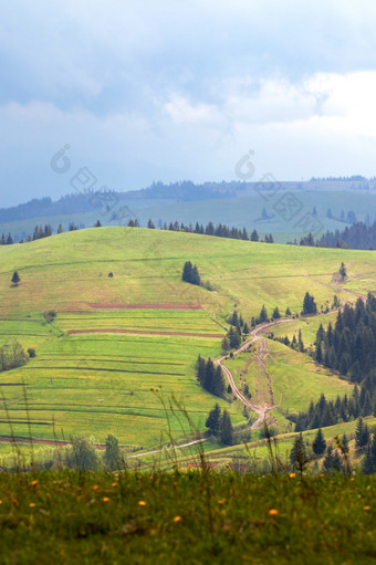 绿色山基斯软阳光<strong>春天景观</strong>的喀尔巴阡山脉的山垂直图像复制空间<strong>春天景观</strong>喀尔巴阡山脉的绿色山与污垢路的谷照亮软阳光