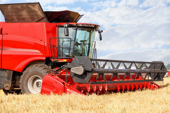 农业机械的场片段大红色的结合收割机在的收获对的背景小麦场特写镜头复制空间片段站红色的大结合收割机为收获小麦夏天一天