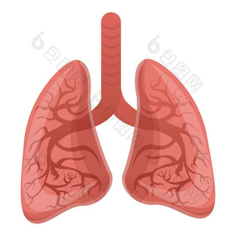 <strong>健康</strong>的肺图标卡通<strong>健康</strong>的肺向量图标为网络设计孤立的白色背景<strong>健康</strong>的肺图标卡通风格