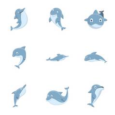 海豚图标集卡通集海豚向量图标为网络设计孤立的白色背景海豚图标集卡通风格