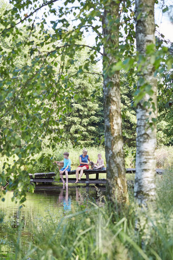 家庭支出时间在一<strong>起坐</strong>着桥在湖在的树关闭自然在夏天假期坦诚的人真正的时刻真实的的情况下