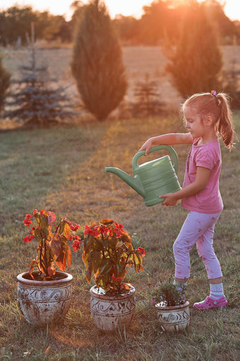 小女孩帮助水的花日益增长的花能倒水从绿色浇水可以工作后院日落坦诚的人真正的时刻真实的的情况下