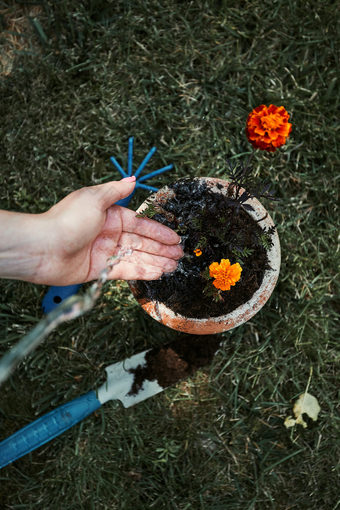 种植植物成新能浇水种植花使用工具耙和铲真正的人真实的的情况下