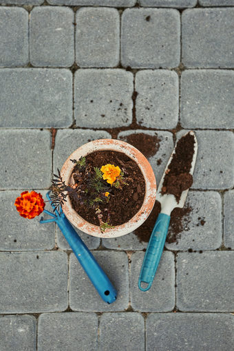 种植植物成新能前视图能与花和工具铲和耙砖真正的人真实的的情况下