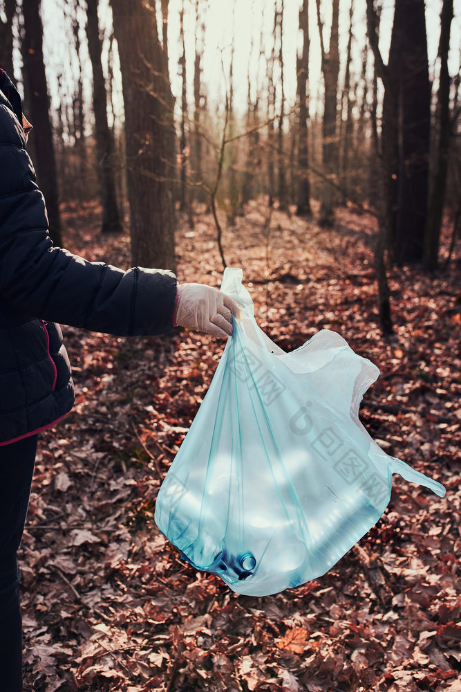 女人清洁森林志愿者挑选塑料浪费袋概念塑料污染和太许多塑料浪费环境问题环境损害责任为环境真正的人真实的的情况下