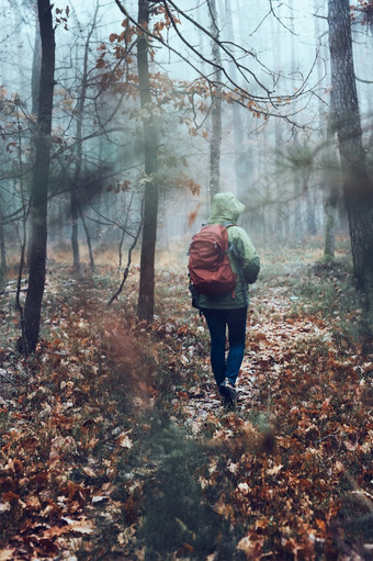 女人与背包流浪的森林秋天冷一天回来视图中间年龄活跃的女人会沿着森林路径积极支出时间女人与背包流浪的周围森林秋天冷一天