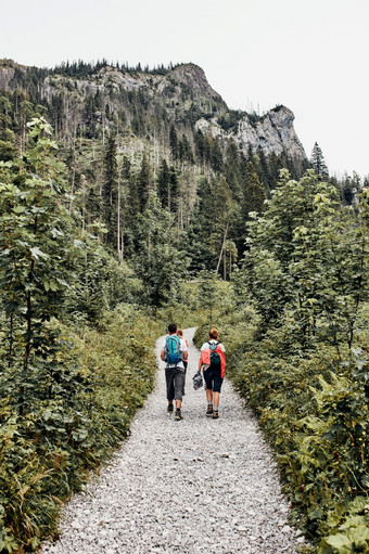 家庭与背包徒步旅行山积极<strong>支出</strong>夏天假期在一起走森林路径会说话的和欣赏自然山风景家庭与背包徒步旅行山积极<strong>支出</strong>夏天假期在一起