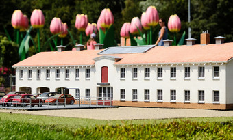 巨大的郁金香后面微型房子Madurodam的荷兰巨大的郁金香后面微型房子