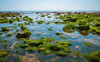 岩石和莫斯的<strong>海底</strong>低潮的尤拉西克海岸南英格兰查茅斯海滩曼联王国岩石和莫斯的<strong>海底</strong>低潮的尤拉西克海岸南英格兰查茅斯海滩