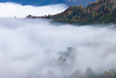 美丽的早期秋天自然背景多雾的树的山