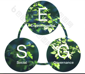 环境、社会和治理象征绿色森林背景环境社会治理