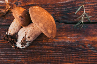 新鲜收集牛肝菌属Edulis在木背景秋天口袋蘑菇烹饪美味的有机蘑菇美食食物