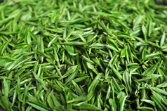 新鲜的绿色茶叶子