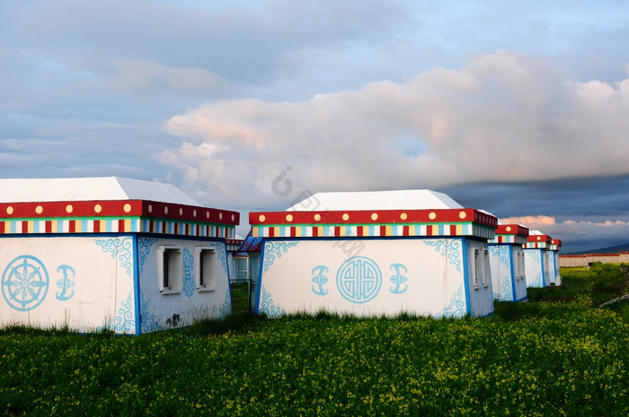 蒙古帐篷霜草原