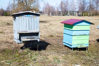 城市cesi拉脱维亚蜜<strong>蜂房</strong>子的草地春天和阳光明媚的一天旅行照片