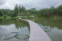 城市amatciems拉脱维亚共和国清洁湖和包围绿色自然娱乐区域为游客旅行照片俊
