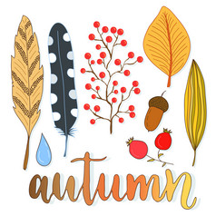秋天装饰集与叶子浆果和羽毛向量集合为假期设计秋天装饰集与叶子浆果和羽毛向量集合为假期设计