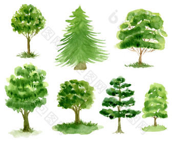 水彩插图集合树绿色剪辑艺术孤立的集水彩插图集合树绿色剪辑艺术孤立的集