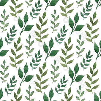 绿色水彩无缝的模式手油漆叶子背景可以使用为包装和包设计绿色水彩无缝的模式手油漆叶子背景可以使用为包装和包设计