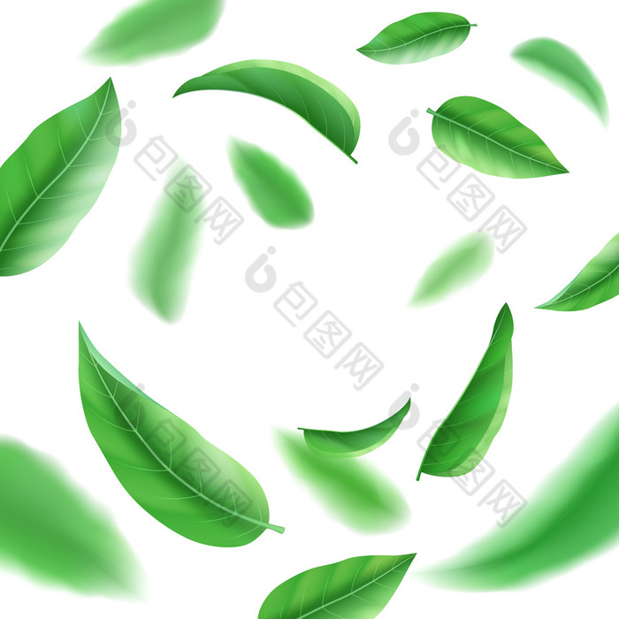 现实的新鲜的绿色叶子孤立的白色背景茶和草漩涡飞行叶与风向量插图现实的新鲜的绿色叶子白色背景茶和草