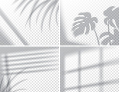 集阴影覆盖影响模拟窗口框架和叶植物自然室内光向量插图集阴影覆盖影响模拟窗口框架和叶植物自然光向量插图