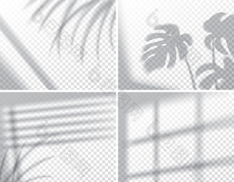 集阴影覆盖影响模拟窗口框架和叶植物自然室内光向量插<strong>图集</strong>阴影覆盖影响模拟窗口框架和叶植物自然光向量插图