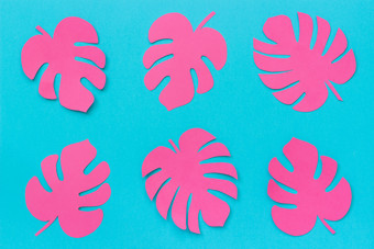 明亮的时尚的粉红色的热带叶子monstera纸蓝色的背景平躺俯视图有创意的纸艺术明亮的时尚的粉红色的热带叶子monstera纸蓝色的背景平躺俯视图有创意的纸艺术