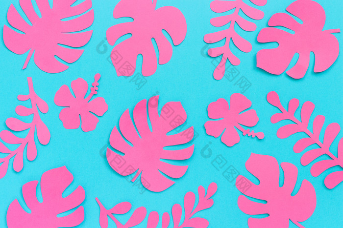热带叶子模式时尚的粉红色的热带叶子纸蓝色的背景平躺自顶向下作文有创意的纸艺术热带叶子模式时尚的粉红色的热带叶子纸蓝色的背景平躺自顶向下作文有创意的纸艺术