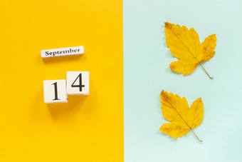 秋天<strong>作文</strong>木日历9月和黄色的秋天叶子黄色的蓝色的背景前视图平躺模型概念你好9月秋天<strong>作文</strong>木日历9月和黄色的秋天叶子黄色的蓝色的背景前视图平躺模型概念你好9月