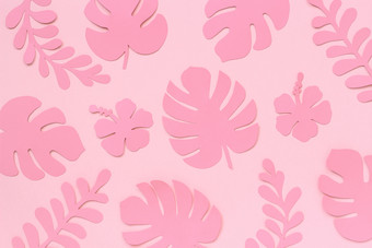 粉红色的热带叶子模式时尚的热带叶子纸背景平躺自顶向下作文有创意的纸艺术粉红色的热带叶子模式时尚的热带叶子纸背景平躺自顶向下作文有创意的纸艺术