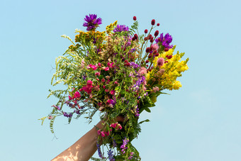 女手持有明亮的色彩斑斓的<strong>花</strong>束野<strong>生花</strong>对蓝色的天空概念女人的一天母亲一天你好夏天你好春天女手持有明亮的色彩斑斓的<strong>花</strong>束野<strong>生花</strong>对蓝色的天空女人的一天母亲一天你好夏天你好春天