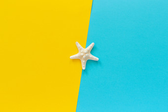 一个海海星蓝色的和黄色的纸背景最小的风格复制空间模板为刻字文本你的设计有创意的前视图一个海海星蓝色的和黄色的纸背景最小的风格复制空间模板为刻字文本你的设计有创意的前视图