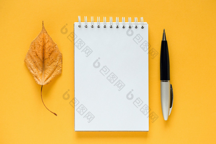 秋天作文白色空白记事本干橙色叶和笔黄色的背景前视图平躺模型模板为你的设计秋天作文白色空白记事本干橙色叶和笔黄色的背景前视图平躺模型模板为你的设计