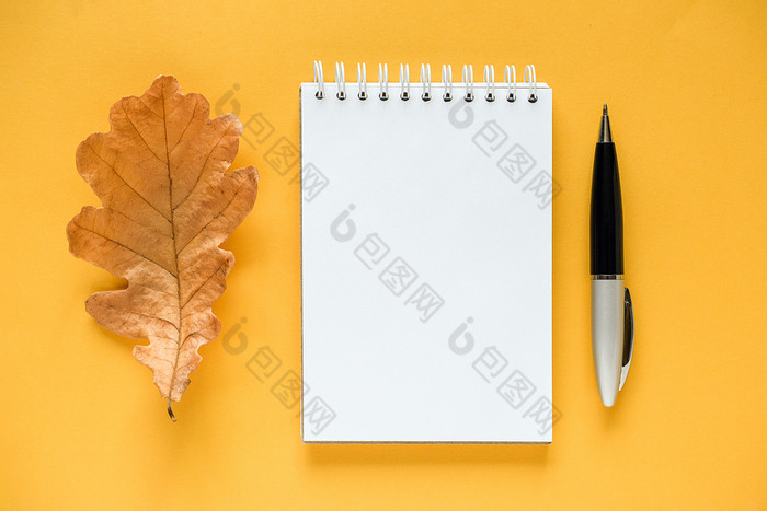 秋天作文白色空白记事本干橙色橡木叶和笔黄色的背景前视图平躺模型模板为你的设计秋天作文白色空白记事本干橙色橡木叶和笔黄色的背景前视图平躺模型模板为你的设计