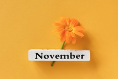 一个橙色聚花和日历秋天月11月黄色的背景前视图复制空间平躺最小的风格概念你好11月模板为你的设计问候卡一个橙色聚花和日历秋天月11月黄色的背景前视图复制空间平躺最小的风格概念你好11月模板为你的设计问