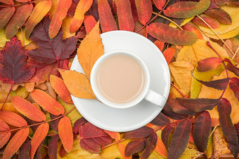 秋天作文杯咖啡与牛奶组合成的色彩斑斓的叶子关闭平躺前视图复制空间秋天作文杯咖啡与牛奶组合成的色彩斑斓的叶子关闭平躺前视图复制空间