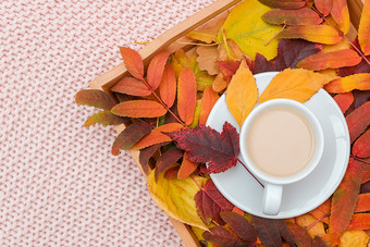 杯咖啡与牛奶和色彩斑斓的叶子<strong>木托盘</strong>粉红色的柔和的针织格子背景秋天舒适的平躺前视图复制空间杯咖啡与牛奶和色彩斑斓的叶子<strong>木托盘</strong>粉红色的柔和的针织格子背景秋天舒适的平躺前视图复制空间