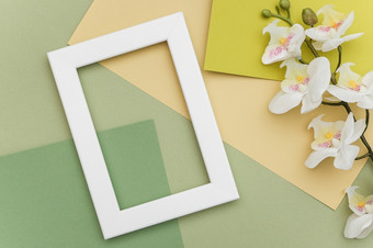 白色框架和分支兰花花几何绿色阴影纸背景复制空间模型为你的设计春天夏天概念白色框架和分支兰花花几何绿色阴影纸背景复制空间模型为你的设计春天夏天概念