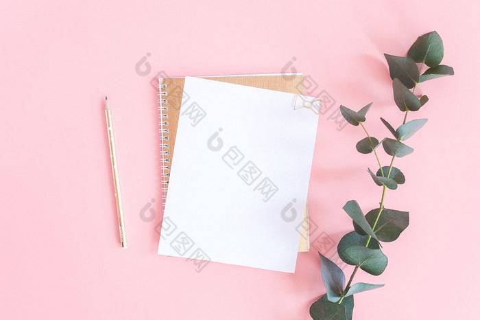 空白白色表螺旋金记事本与纸剪辑心铅笔和绿色分支桉树粉红色的柔和的背景模拟为你的文本和设计前视图平躺空白白色表螺旋金记事本与纸剪辑心铅笔和绿色分支桉树粉红色的柔和的背景模拟为你的文本和设计前视图平躺
